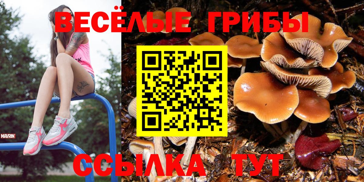Галлюциногенные грибы GOLDEN TEACHER  Вход с VPN  Галлюциногенные грибы прущие грибы  Коркино 