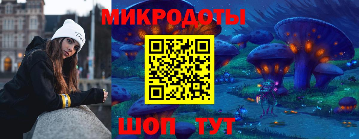 Псилоцибиновые грибы Psilocybine cubensis Коркино